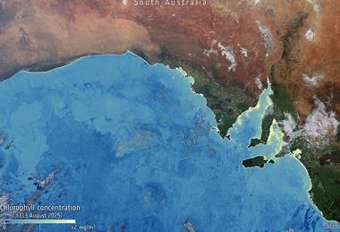Algae_bloom_chlorophyll_South_Australia_ESA512113
