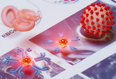 Low-Res_wang-gold-nanoparticle-ASU