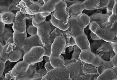 Screenshot 2026-03-23 140548