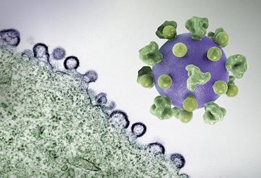 HIV_Virus_-_2 (1)