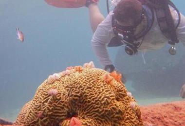 Low-Res_Imatge8, (1)