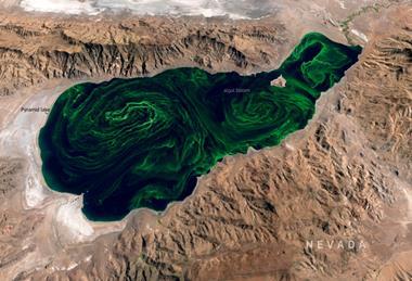 Algal bloom in Lake Pyramid USA