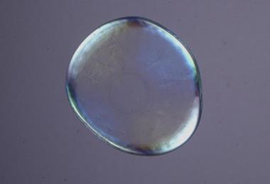 Low-Res_Birefringent film