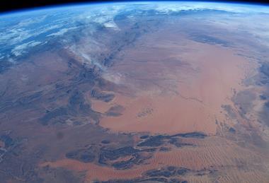 Afternoon_in_Africa_(49321857721)