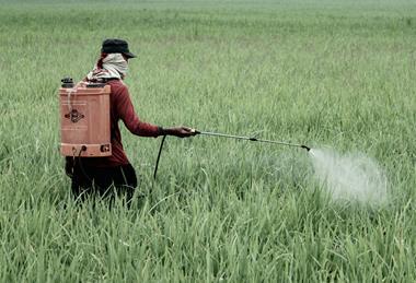 ilham-wicaksono-lQDA0Zv47P8-unsplash