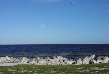 Lake_Okeechobee