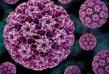 Human_Papillomavirus_(HPV)