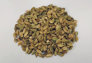 Low-Res_Image_1_cardamom_seedsS