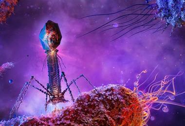 Phage_attack_dna