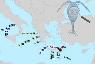 Low-Res_copepod microbiome map