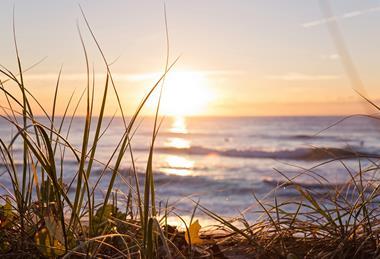 pexels-mastercowley-2403929