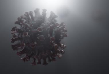 virus-6170926_1280