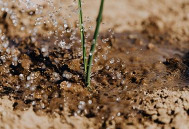 pexels-karola-g-4207907