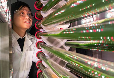 Low-Res_012926_DaiFeature