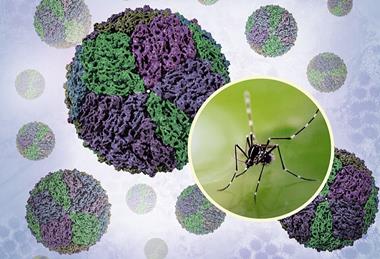 Aedes_Mosquito_and_Renderings_of_Dengue_Virions