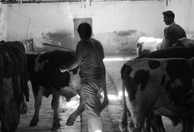 pexels-yavuz-selim-korku-497065016-34003110