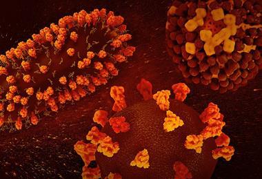 Triple_Threat-_RSV,_SARS-CoV-2,_and_Flu_-_52573302046