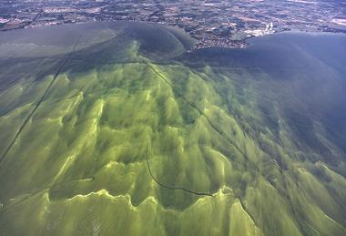 Lake_Erie_HABs_Aug_2017_(36320343650)