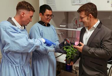 Low-Res_A mint idea Dr Andrew Hayes,  PhD candidate, Trong Quan Luu and Professor Vasilev in the lab with some mint