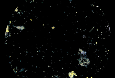 Screenshot 2026-10-06 at 14.04.50