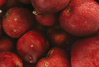 pexels-kpaukshtite-10520134