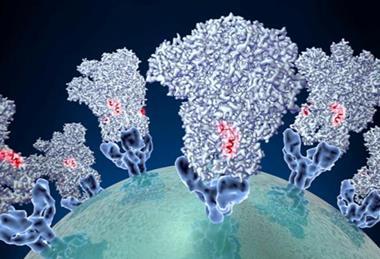 Low-Res_IICSA_16_2_Picture