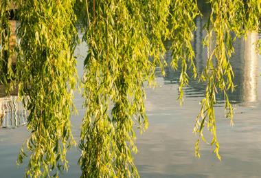 pexels-taraschuiko-12265352