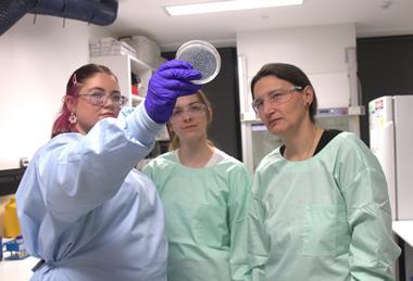 (L-R) Siobhonne Breen, Dominika Fuhs, Cornelia Landersdorfer, with Pseudomonas aeruginosa in a petri dish