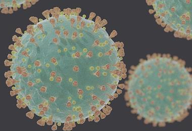 Coronavirus_SARS-CoV-2