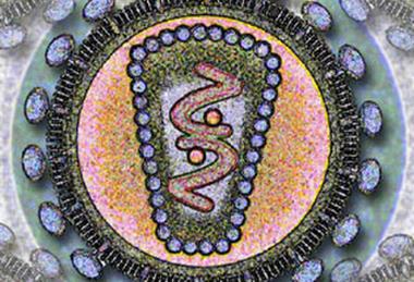 Human_Immunodeficency_Virus_-_stylized_rendering
