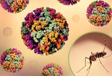 3D_renderings_of_and_Chikungunya_Virus_Capsids_and_an_Aedes_mosquito_photo_-_1