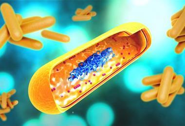 Low-Res_Michael April 1 TB Bacteria Illustration (CDC Image)