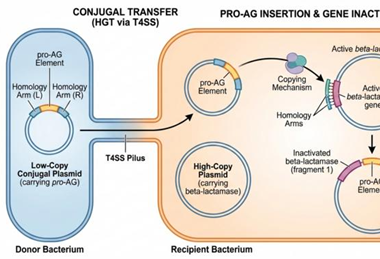 Low-Res_Bier-Pro-Ag2-npcAntimicRes-graphic.docx