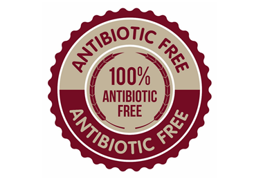 Anitbiotic_Free