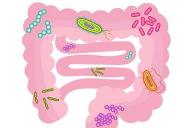 Low-Res_IICSA_28_2_Picture2