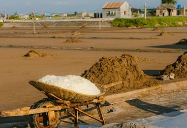 pexels-hson-27098281