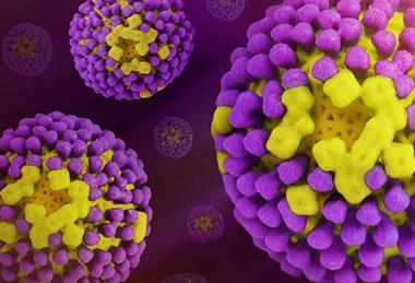 Influenza_Virus_-_52637526839