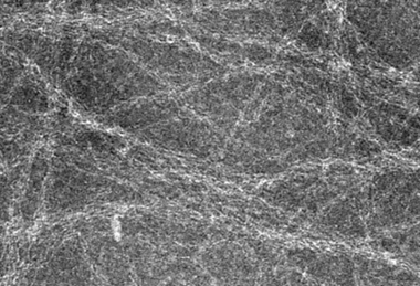 biofilm