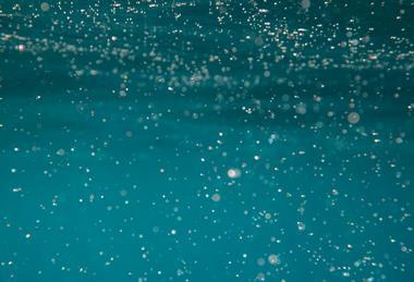 pexels-jess-vide-5008007