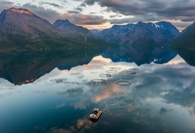 Fish_farming_on_Øksfjorden_in_Loppa,_Troms_og_Finnmark,_Norway,_2022_August