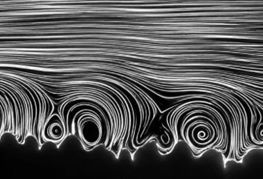 Vortices