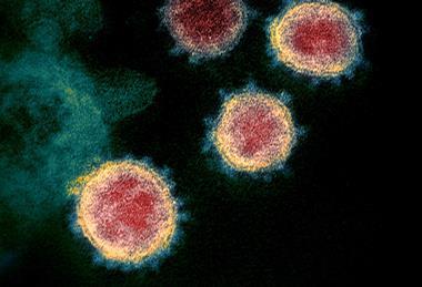 Novel_Coronavirus_SARS-CoV-2 (1)