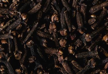 pexels-eva-bronzini-6087276