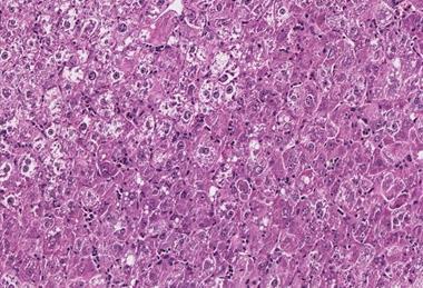 Low-Res_Rice_4626_HERO