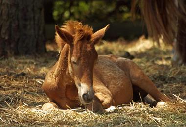 pexels-hilaryh-37983