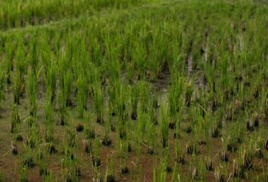 pexels-alexeydemidov-10658534