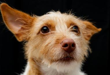 pexels-larry-penaloza-311813562-13776239