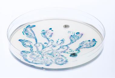 Wild_garden_of_the_gut_bacteria_6