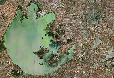 Satellite image of Lake Tai showing green algal bloom