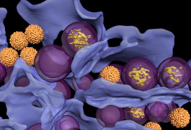 Low-Res_LGTV_1280_720